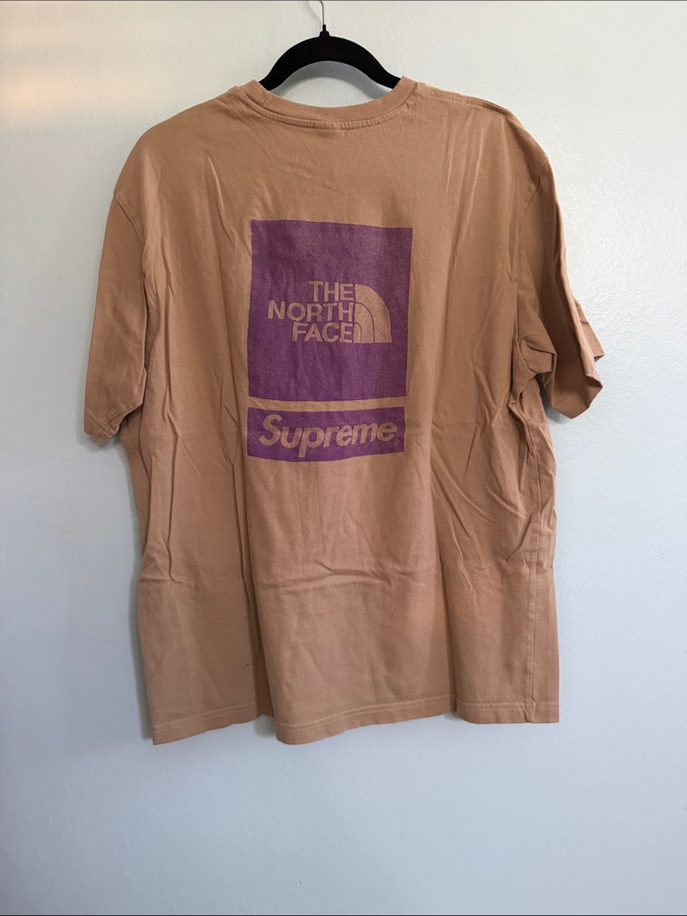 Supreme x The North Face T-Shirt